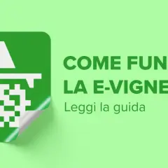 Icona autostradale verde con testo "Come funziona la e-vignetta? Leggi la guida". La vignetta svizzera durata è ora digitale.