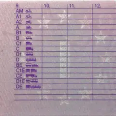 Codici patente: AM, A1, A2, A, B1, B, C1, C, D1, D, BE, C1E, CE, D1E, DE.