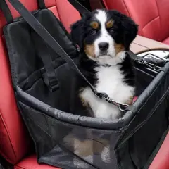 Cucciolo di cane in un trasportino per il trasporto cani in auto, seduto sui sedili rossi in pelle.
