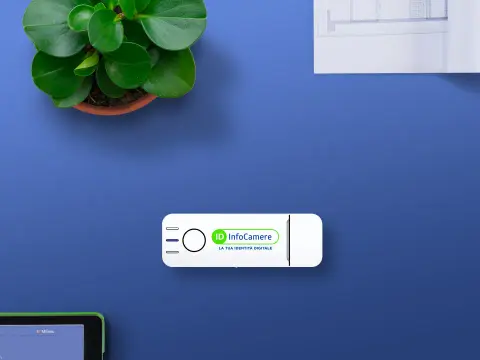 Foglio PRA digitale - cosa vale e come controllarlo online