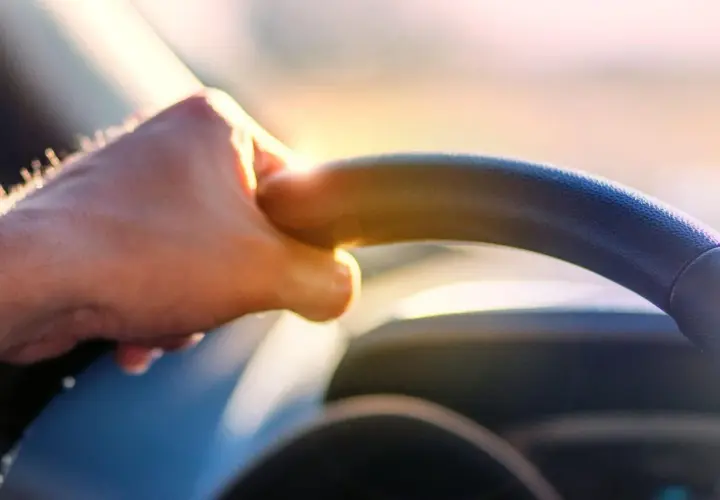 Mano sul volante, luce dorata. Per una visura targa immediata, basta un click.