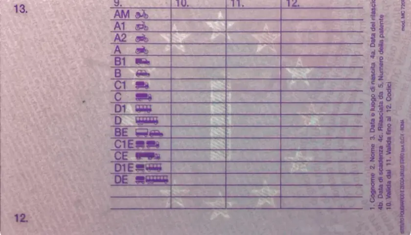 Codici patente: AM, A1, A2, A, B1, B, C1, C, D1, D, BE, C1E, CE, D1E, DE.