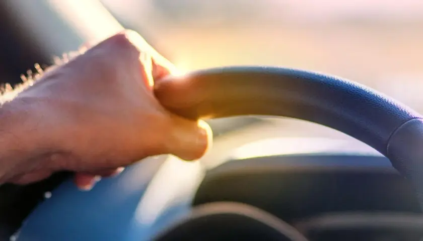 Mano sul volante, luce dorata. Per una visura targa immediata, basta un click.