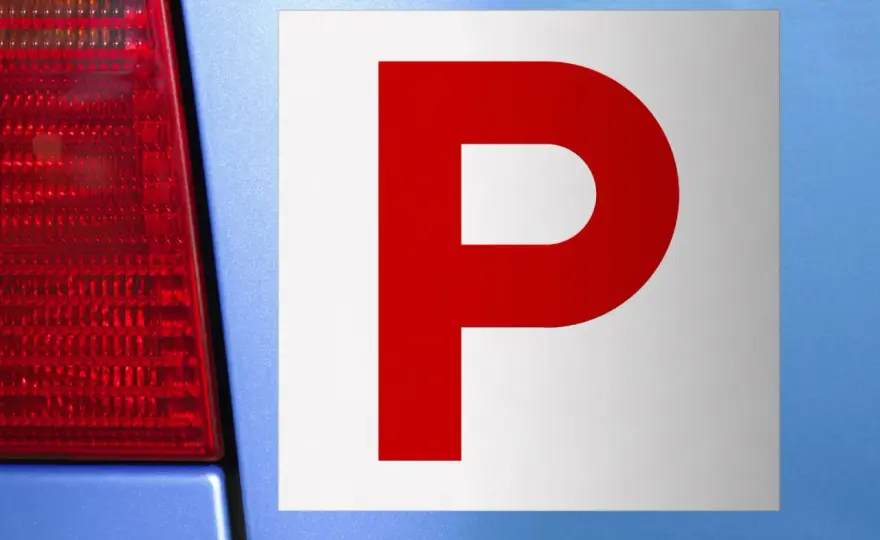 Neopatentato o principiante? P, auto e limiti da sapere