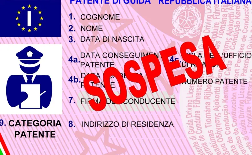 Ricorso contro la revoca della patente accolto - cosa fare