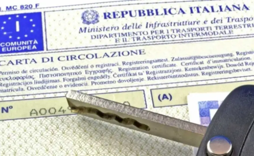 Numero carta di circolazione, dove trovarlo e cosa inserire