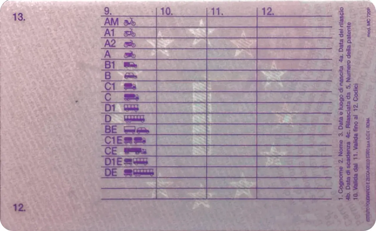 Codici patente: AM, A1, A2, A, B1, B, C1, C, D1, D, BE, C1E, CE, D1E, DE.